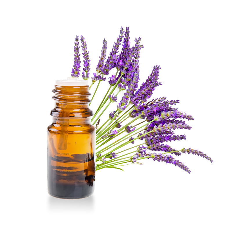 Huile essentielle de Lavande aspic
