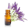 Huile essentielle de Lavande aspic