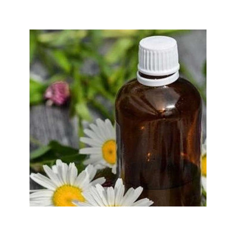 Huile essentielle de Camomille romaine BIO