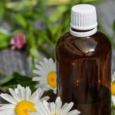 Huile essentielle de Camomille romaine BIO