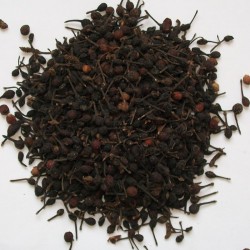 Poivre sauvage (voatsiperifery) de Madagascar