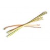 LEMON GRASS
