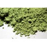 Poudre de moringa de madagascar